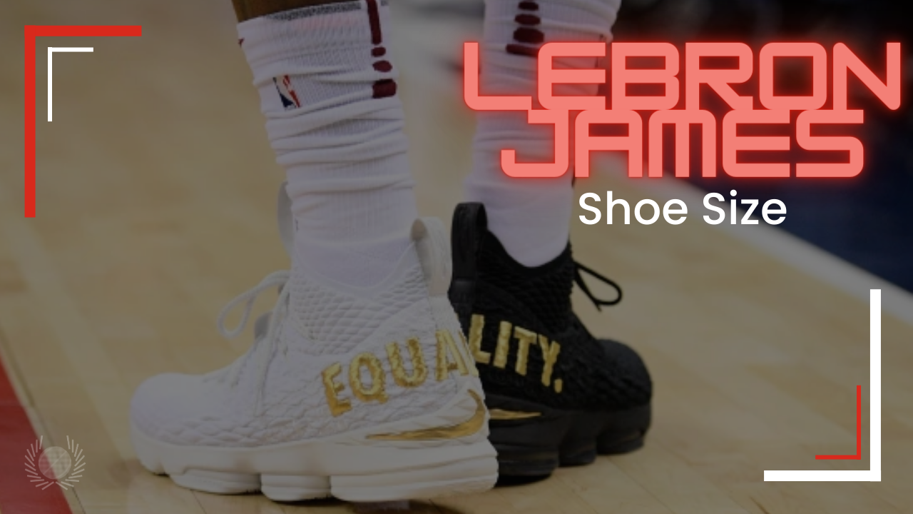 LeBron James has taken his shoe game to another level this season | wkyc.com